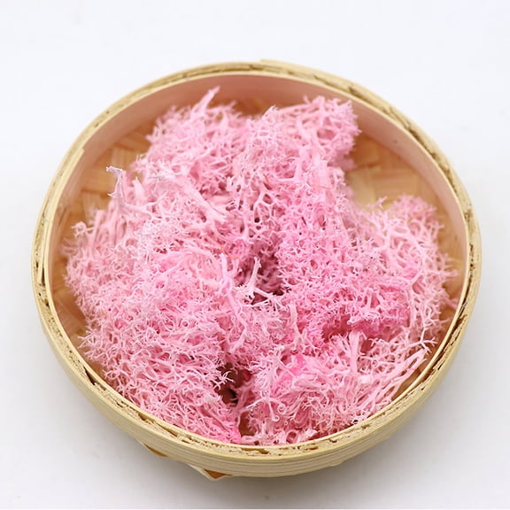 pdqouc Clearance Potted Plants Garden Decoration Immortal Natural Dry Moss Wedding Party Plant Crafts Floral Background Decoration Moss Immortal Flower Decoration Artificial Plants