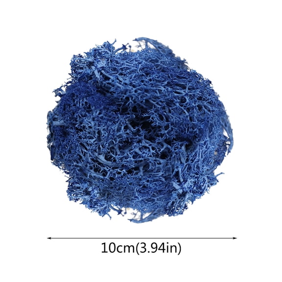 pdqouc Potted Plants Garden Decoration Immortal Natural Dry Moss Wedding Party Plant Crafts Floral Background Decoration Moss Immortal Flower Decoration Artificial Plants