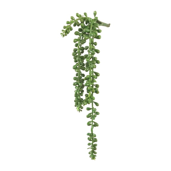 pdqouc Succulents Hanging String of Pearls for Wall Home Garden for Wall, Home, Back drop, Garden, Indoor and Outdoor Decoration