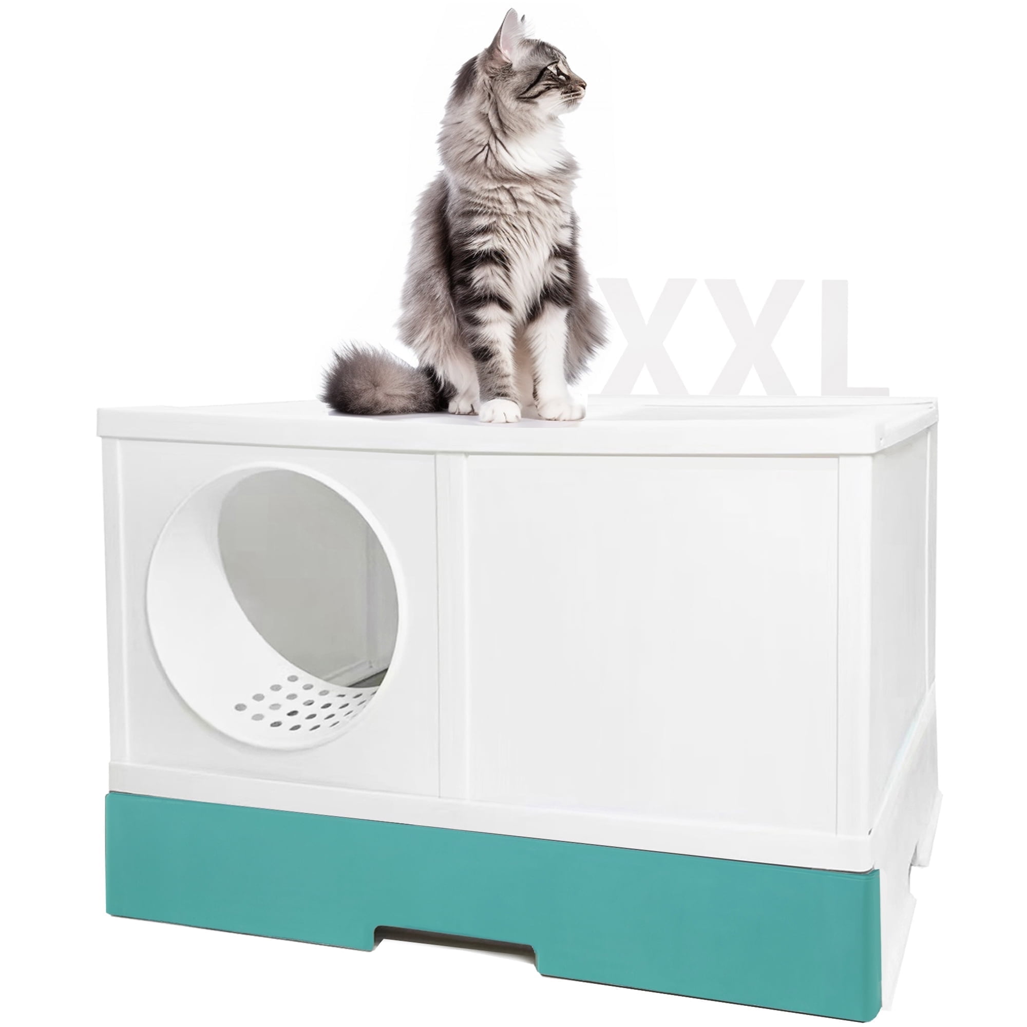 Odor free cat box online