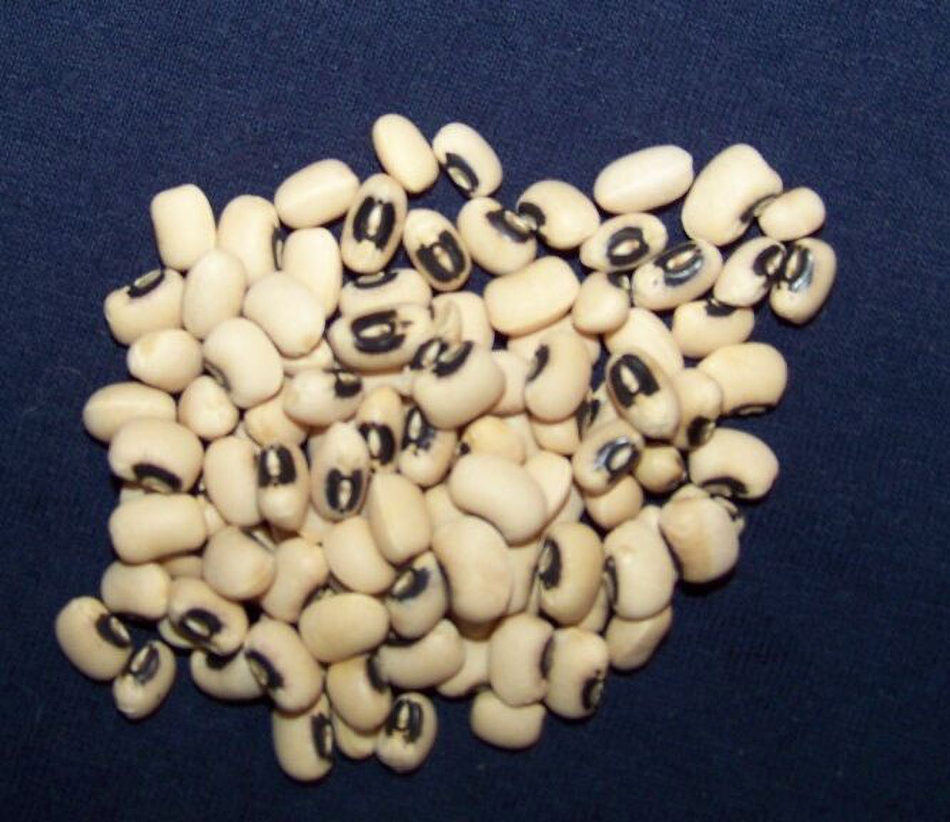 pea, BLACKEYED, cow peas, grow and store your own, 60 seeds! Go US USA