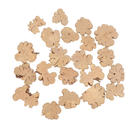 perfeclan Craft Irregular Unfinished Wood Pieces, Multipurpose, en Log Slices, Wood Cup Coaster for Crafts Drawing DIY Project 20pcs