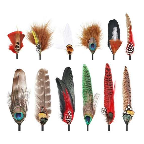 perfeclan Hat Feathers Assorted Feather Packs Accessories for Fedora, Cowboy, Trilby Hats and Decorate Costume, Hair Ornament, Earrings D