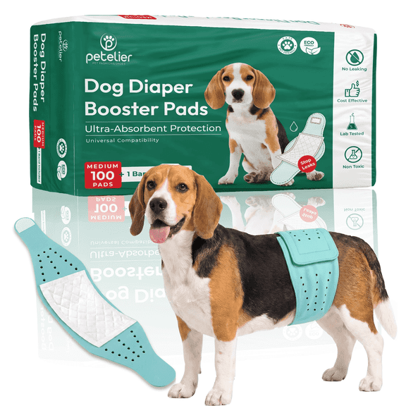 petelier Super Soft Absorbent Dog Diaper Liners Booster Pads for Male and Female Dogs, Medium, 100 ct with Reusable Band, US Material & Korean Tech