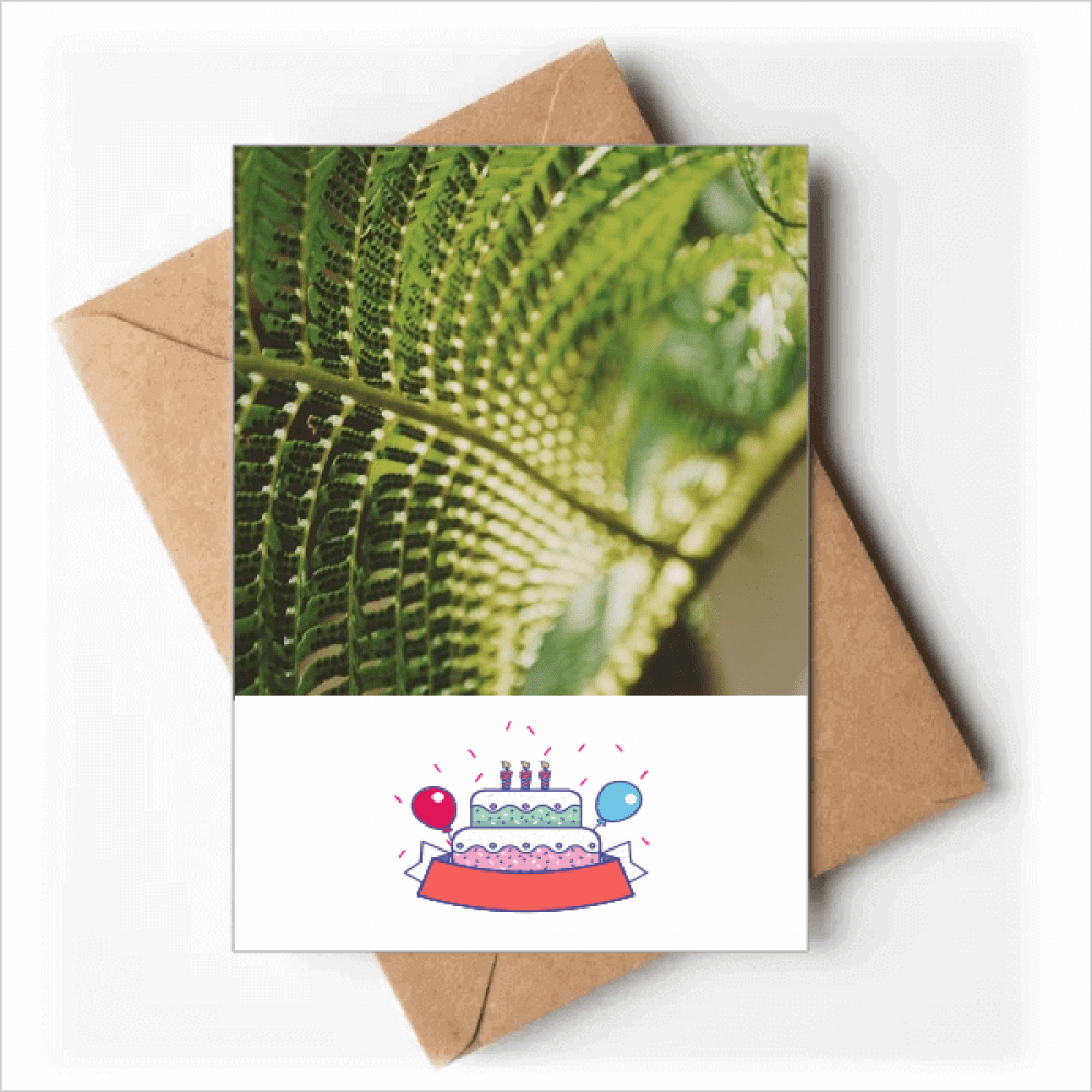 photography picture nature Happy Birthday Greeting Cards Envelopes Blank