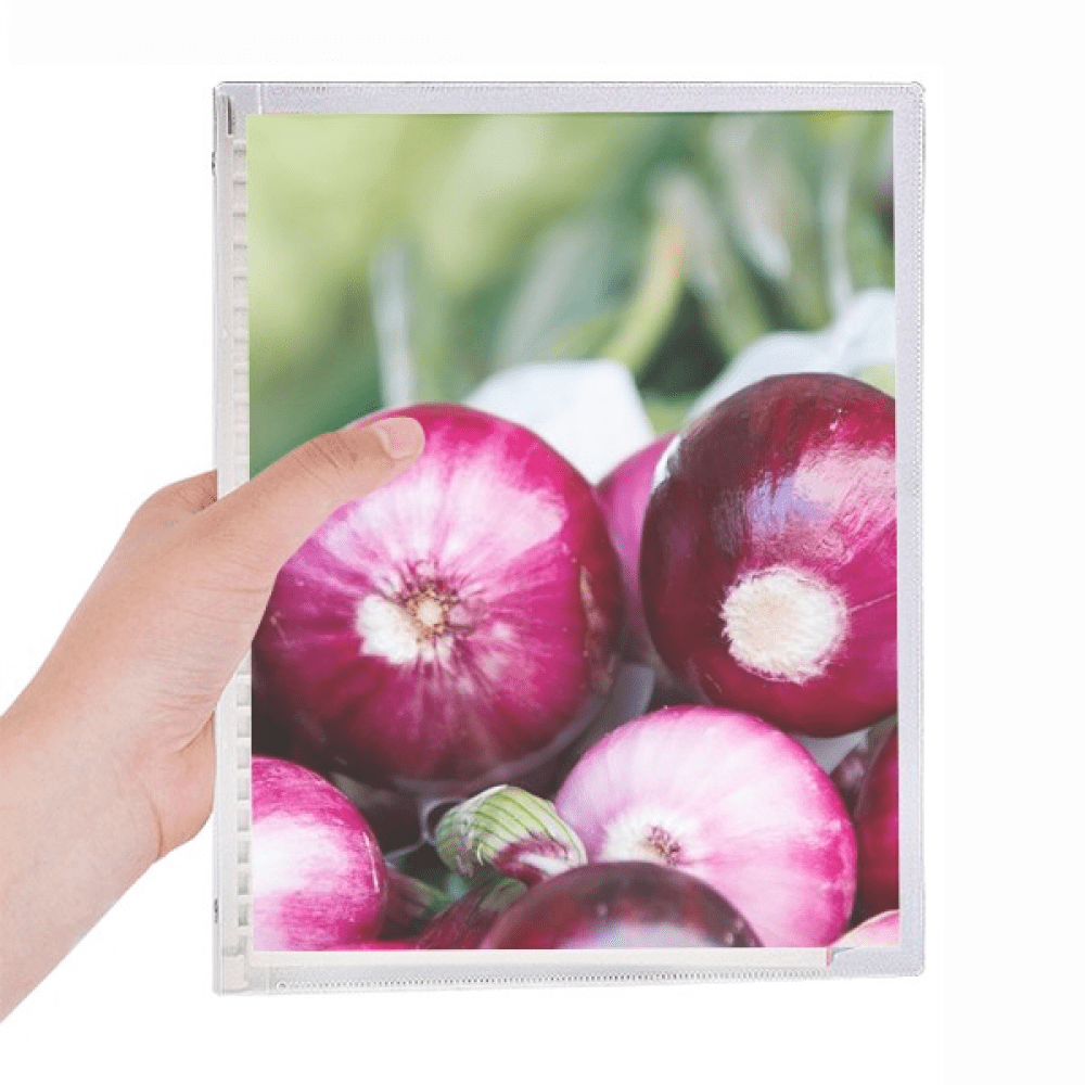 picture fresh temperate vageable onion notebook loose diary refillable journal statiry
