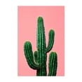 thumbnail image 1 of pink cactus - Photography Cactus Desert Minimalist Botanical Nature Pastel Tropical Unframed Wall Art Print 20 x 28 inches, 1 of 60