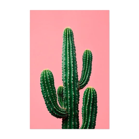 pink cactus - Photography Cactus Desert Minimalist Botanical Nature Pastel Tropical Unframed Wall Art Print 4 x 6 inches