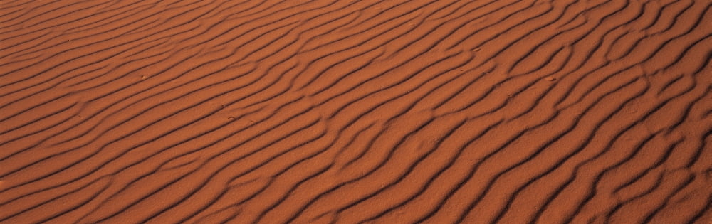 These are the pink sand dunes in Coral Pink Sand Dunes State Park There are line patterns in the sand from the wind Canvas Art - Panoramic Images (27 x 9)