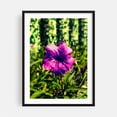 thumbnail image 1 of pinwheel - Garanhuns Pernambuco Brazil Photography Floral Nature Flowers Botanical Summer Scenic Garden Black Framed Wall Art Print 5 x 7 inches, 1 of 7