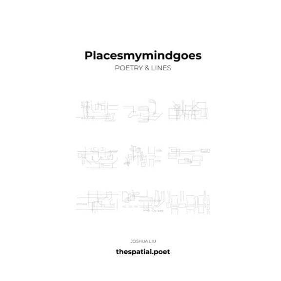 placesmymindgoes (Paperback)