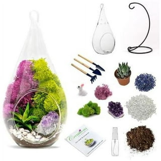 Succulent Terrarium Planter Kit, DIY Set with Soil, Pumice, Horticultural  Charcoal, Sphagnum Moss, Red Lava Rock