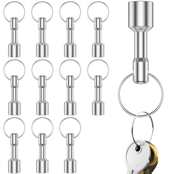 pluokvzr 12pcs Keychain Magnets Portable Keychain Pocket Magnets Small Magnetic Key Holder Gold Silver Jewelry Tester Keychain Magnets Metal Test Magnet for Home Office