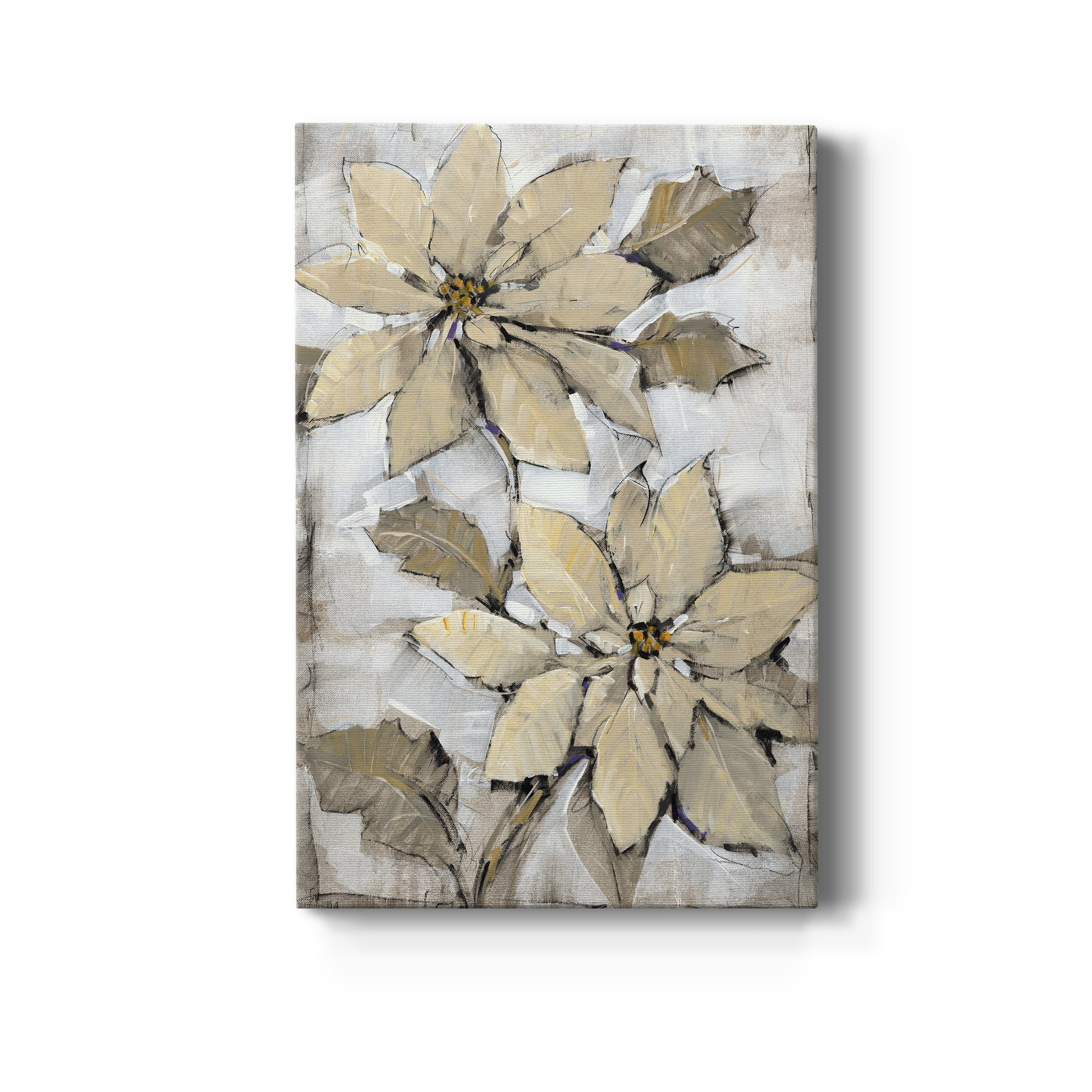 Poinsettia Study II Premium Gallery Wrapped Canvas - Ready to Hang