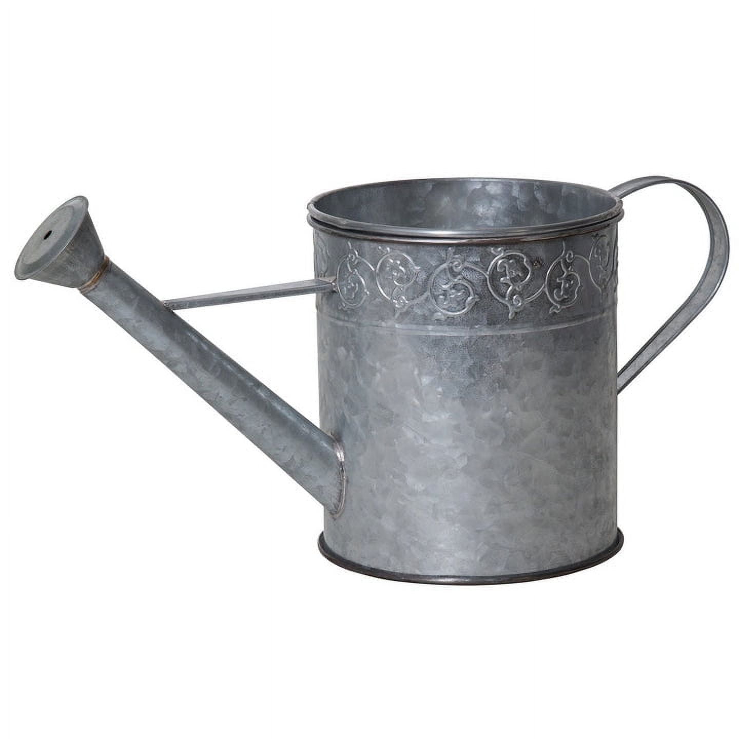 pond boss Metal Watering Can Pond Spitter & Planter - Silver