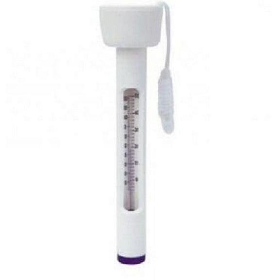 pool style floating thermometer for swimming pools & spas