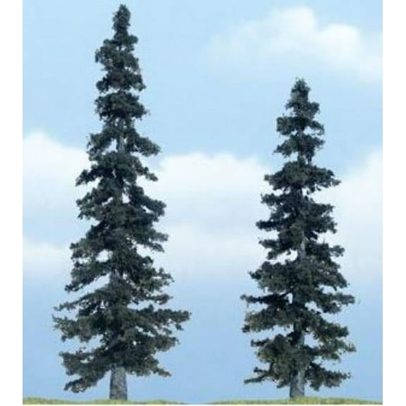 premium spruce tree 4" 5" (2)