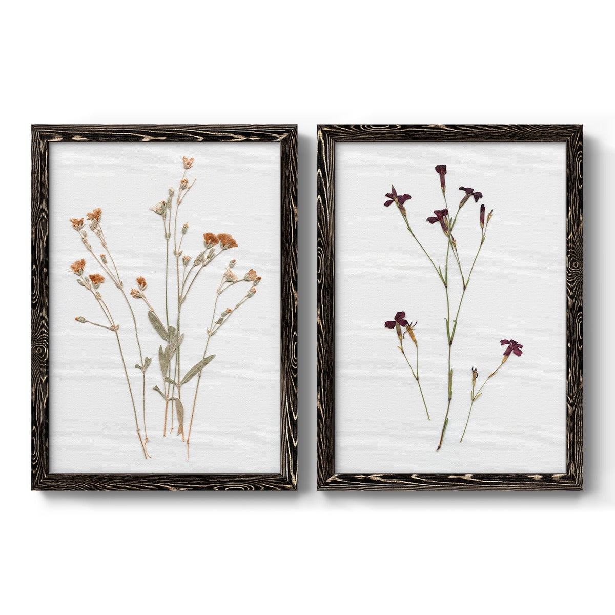 Pressed Botanical I - Premium Framed Canvas 2 Piece Set - Ready to Hang ...
