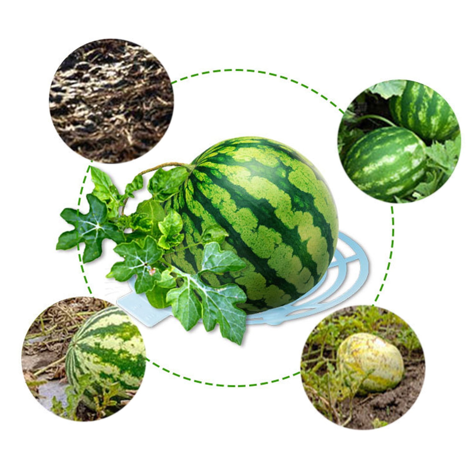 protective cover Easter weed barrier Wedding decoration Weed Men Women