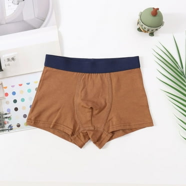 purcolt Toddler Boys Girls Boxer Briefs Light Leaks Training Underwear for Kids 6-13 Years