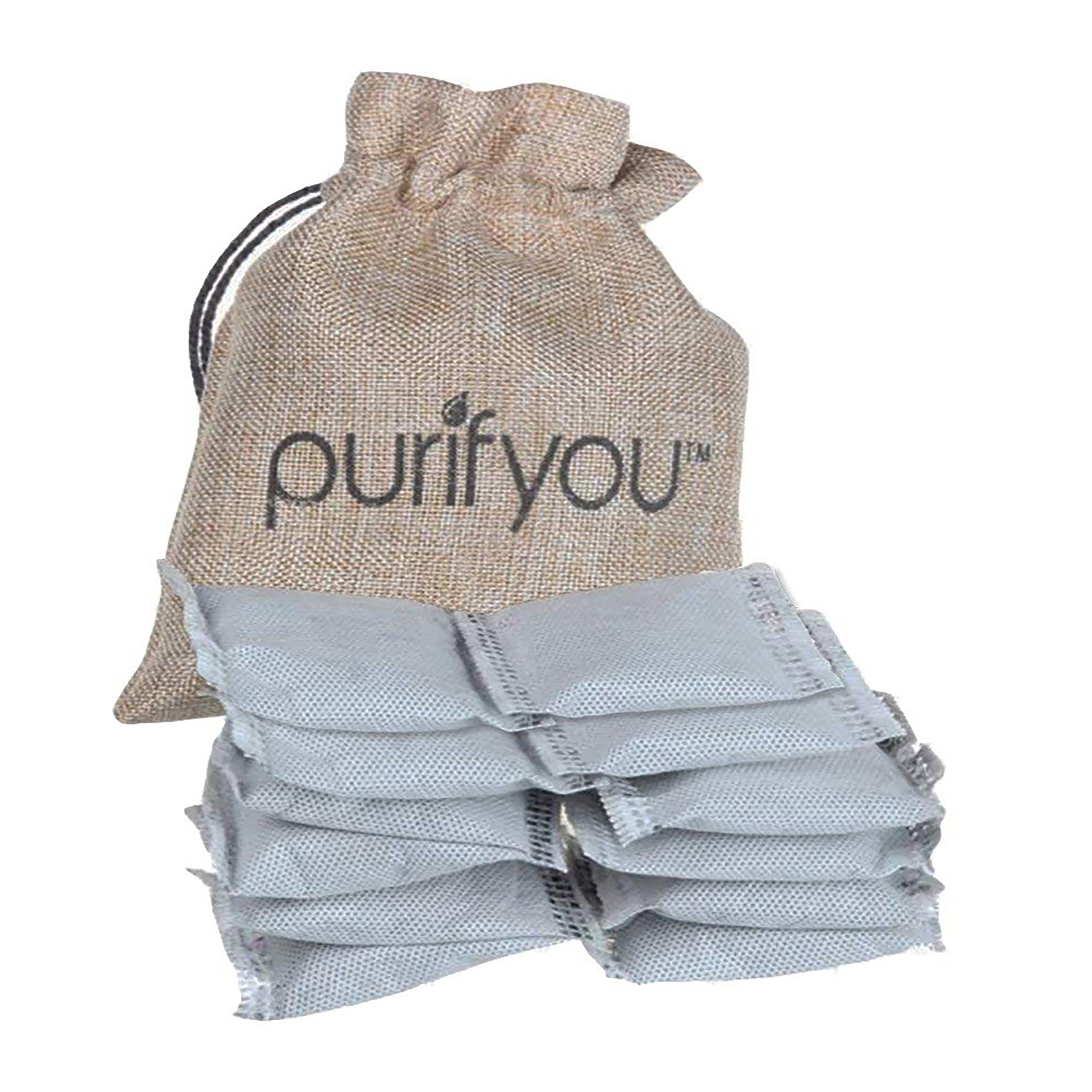 purifyou 100 Sealed AllNatural Air Purifier and Diaper Pail