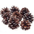 thumbnail image 1 of putnchl 9pcs Christmas Pin-e Cones Bauble Xmas Tree Party Hanging Decoration Ornament, 1 of 5