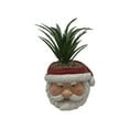 thumbnail image 1 of putnchl Christmas Artificial Succulent Plants In Pots Resin Fake Flower Planter Santa Snowman 4.5 Inch Small Faux Pot Plants Christmas Decorations For Home Indoor Decor, 1 of 3