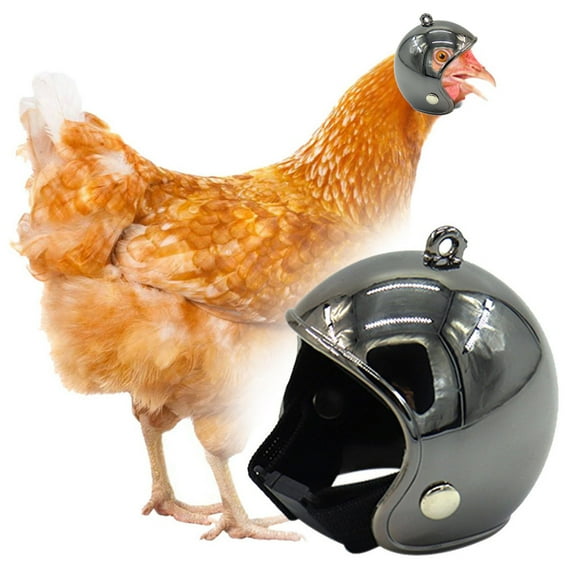 pvdgvd Pet Supplies Chicken Helmet, Adjustable Size Funny Protection Hat for Poultry, Plastic+Elastic & Safe Comfortable