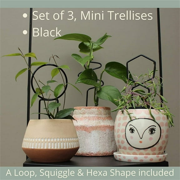 quanjun 11" Indoor Plant Trellis,Black Metal Plant Trellis,Metal Garden Single Stem Flower Support Stick Plant Cage Support Ring,for Potted Plants Flowers Indoor 3 Pcs
