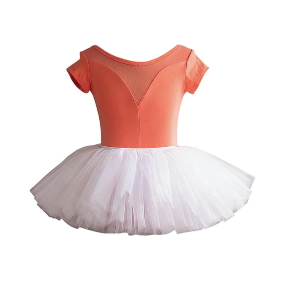 qucoqpe Girls Tulley Ballets Leotards Flowy Color-Blocked Crew Neck Short Sleeve Tutu Skirt Ballerina Outfit Gymnastics Dancewear Dresses for Kids