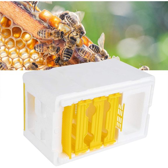 queen bee mating box
