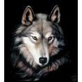 thumbnail image 1 of queen indigo blanket, 1 of 3