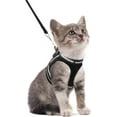 thumbnail image 1 of rabbitgoo Cat Harness and Leash Set for Walking Escape Proof, Adjustable Soft Kittens Vest with Reflective Strip for Small Cats, Comfortable Outdoor Vest, Black, 1 of 9