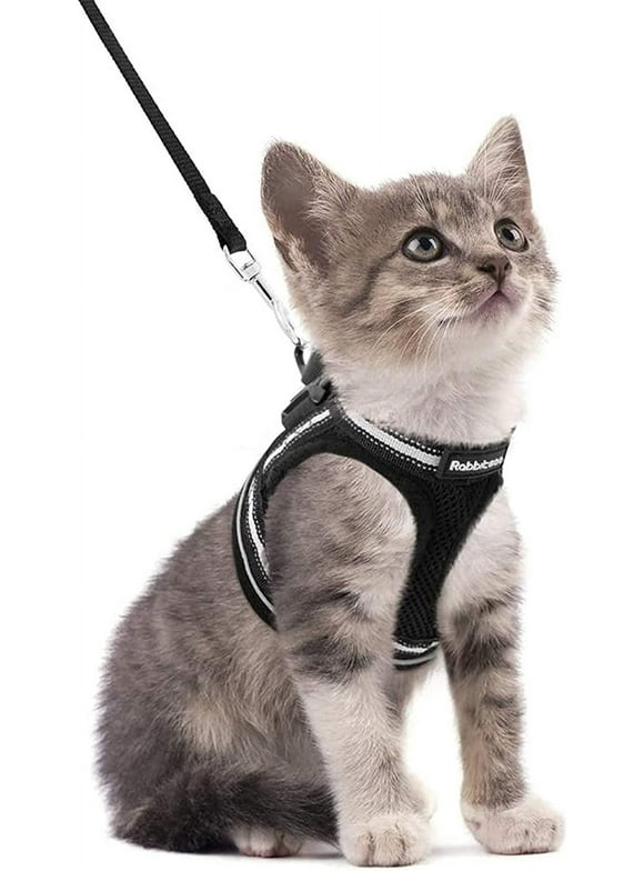 rabbitgoo Cat Harness and Leash Set for Walking Escape Proof, Adjustable Soft Kittens Vest with Reflective Strip for Small Cats, Comfortable Outdoor Vest, Black