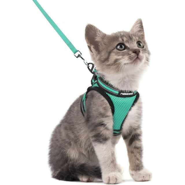 rabbitgoo Cat Harness and Leash Set for Walking Escape Proof, Adjustable Soft Kittens Vest with