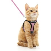 rabbitgoo Cat Harness and Leash Set for Walking Escape Proof, Adjustable Soft Kittens Vest with Reflective Strip for Small Cats, Comfortable Outdoor Vest, Pink