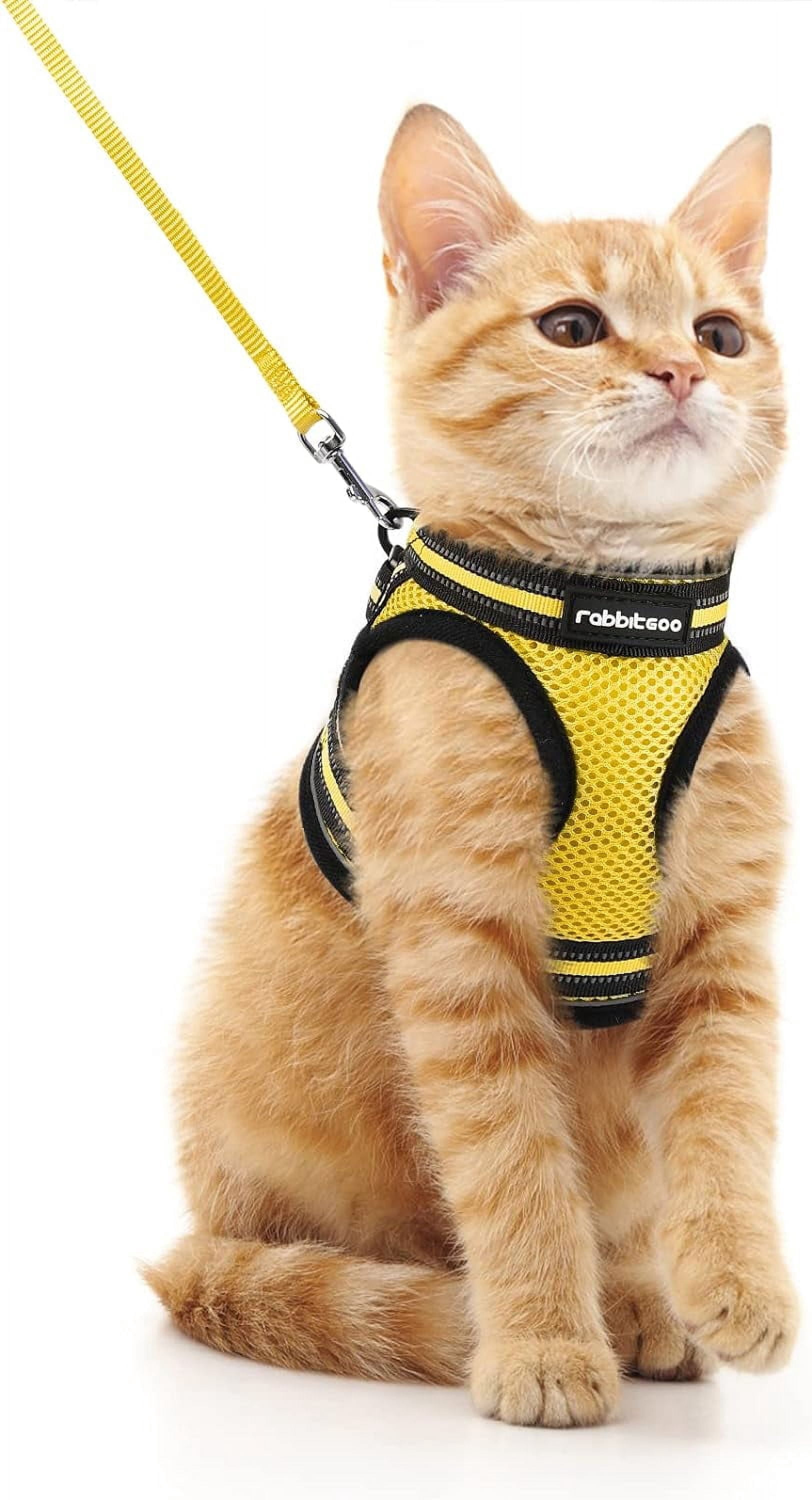 rabbitgoo Cat Harness and Leash Set for Walking Escape Proof ...