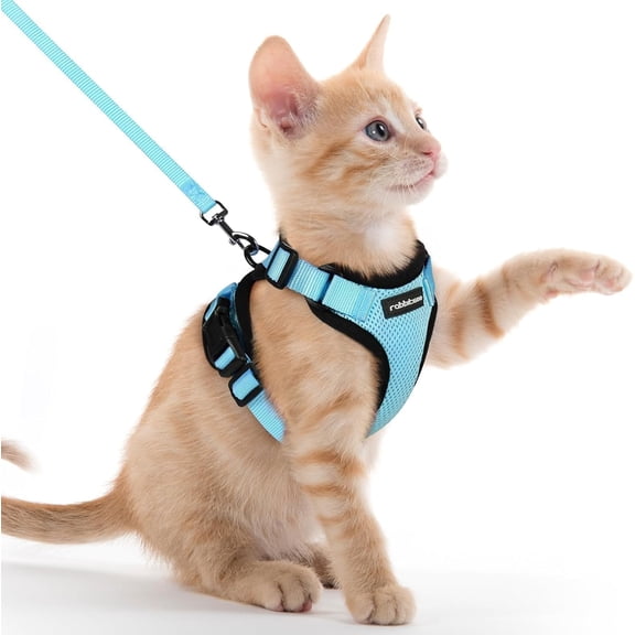 rabbitgoo Cat Harness and Leash for Walking, Escape Proof Soft Adjustable Vest Harnesses for Cats, Easy Control Breathable Reflective Strips Jacket, Baby Blue