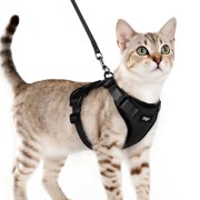 Pigo Cat Harness and Leash for Walking, Escape Proof Soft Adjustable Vest Harnesses for Cats, Easy Control Breathable Reflective Strips Jacket, Black