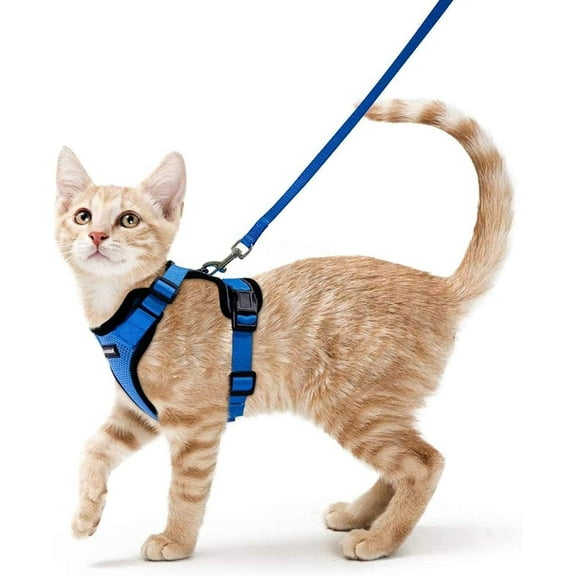 rabbitgoo Cat Harness and Leash for Walking, Escape Proof Soft Adjustable Vest Harnesses for Cats, Easy Control Breathable Reflective Strips Jacket, Dazzling Blue