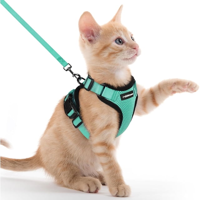 View of rabbitgoo Cat Harness and Leash for Walking, Escape Proof Soft ...