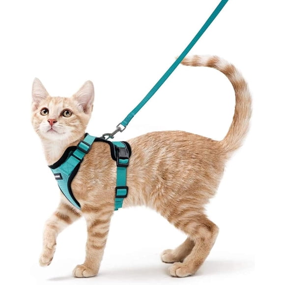 Rabbitgoo Cat Harness and Leash for Walking, Escape Proof Soft Adjustable Vest Harnesses for Cats, Easy Control Breathable Reflective Strips Jacket,Green