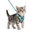 thumbnail image 1 of Pigo Cat Harness and Leash for Walking, Escape Proof Soft Adjustable Vest Harnesses for Cats, Easy Control Breathable Reflective Strips Jacket, Green, 1 of 10