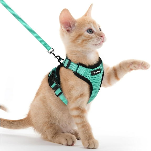 rabbitgoo Cat Harness and Leash for Walking, Escape Proof Soft Adjustable Vest Harnesses for Cats, Easy Control Breathable Reflective Strips Jacket, Green