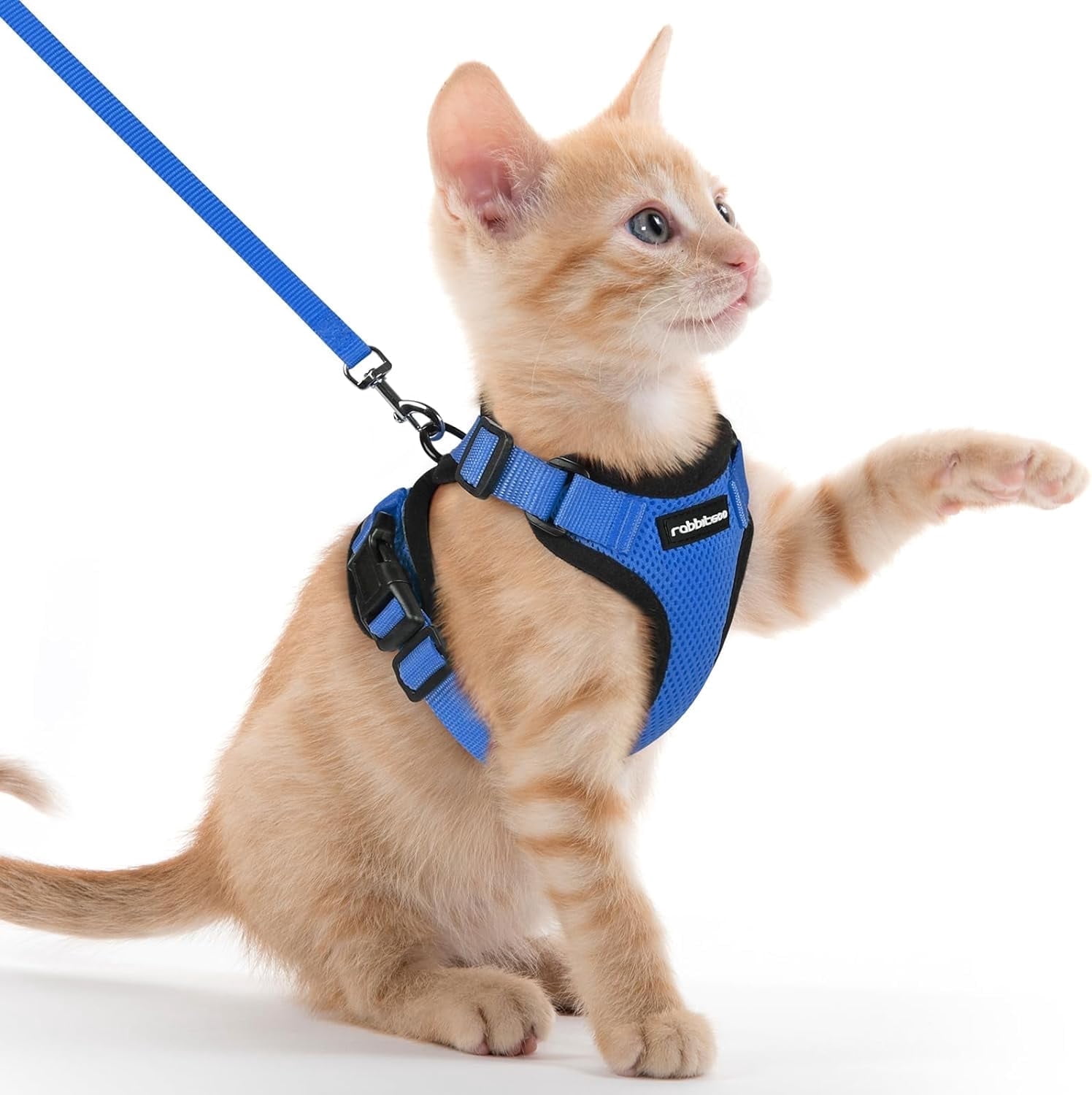 rabbitgoo Cat Harness and Leash for Walking, Escape Proof Soft ...