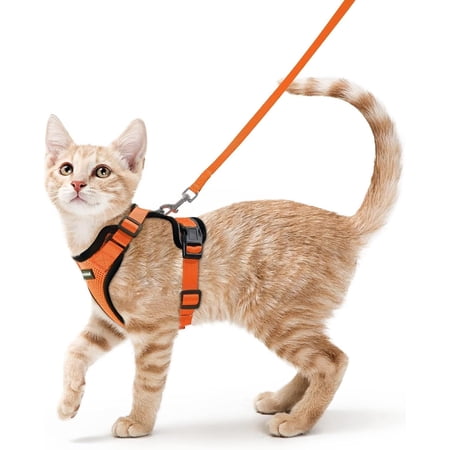 rabbitgoo Cat Harness and Leash for Walking, Escape Proof Soft Adjustable Vest Harnesses for Cats, Easy Control Breathable Reflective Strips Jacket, Orange