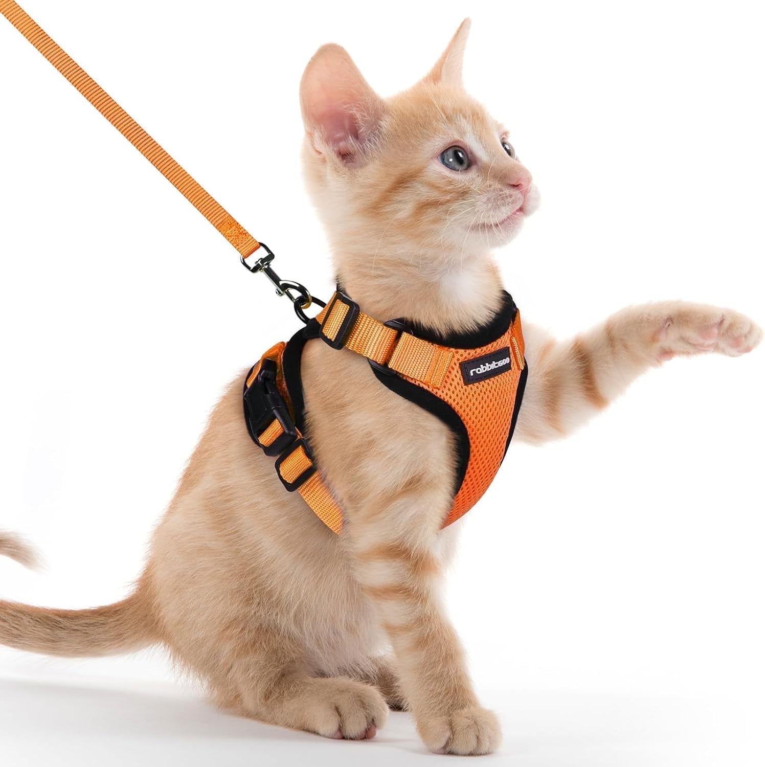 rabbitgoo Cat Harness and Leash for Walking, Escape Proof