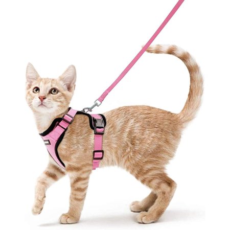 rabbitgoo Cat Harness and Leash for Walking, Escape Proof Soft Adjustable Vest Harnesses for Cats, Easy Control Breathable Reflective Strips Jacket, Pink