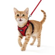 Pigo Cat Harness and Leash for Walking, Escape Proof Soft Adjustable Vest Harnesses for Cats, Easy Control Breathable Reflective Strips Jacket, Rose Red