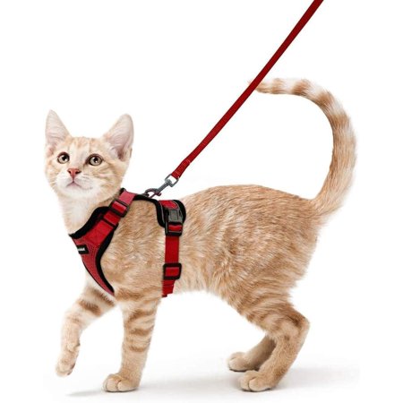 Pigo Cat Harness and Leash for Walking, Escape Proof Soft Adjustable Vest Harnesses for Cats, Easy Control Breathable Reflective Strips Jacket, Rose Red
